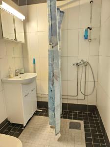 a bathroom with a shower and a sink at Asikkalan Motelli in Vesivehmaa +41 photos