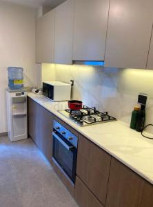 a kitchen with a stove and a microwave at Luxury Hostel Bedspace in Downtown Near Emirates Towers Metro in Dubai