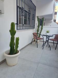 a room with a cactus and a table and chairs at Casa Aguadulce Puerto in Aguadulce +21 photos