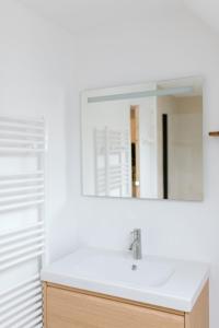 a bathroom with a sink and a mirror at Le Tiny Chalet in Étampes