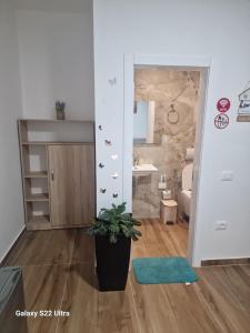 a bathroom with a potted plant in a room at Victoria Houses, Vlore Albania in Vlorë +52 photos