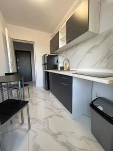 Kuchyň nebo kuchyňský kout v ubytování Stejarilor Apartment + 3 fotografie