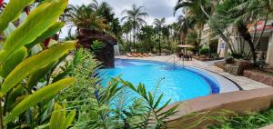 une piscine dans une cour avec des palmiers dans l'établissement TERMAS & PRAiAS, à Caldas Novas