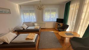 TV a/nebo společenská místnost v ubytování Pacsirta Apartman