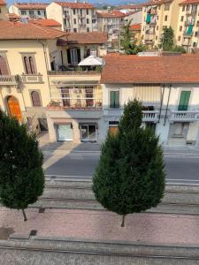 un grupo de árboles frente a algunos edificios en Serena House, en Florencia
