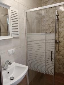 a bathroom with a sink and a glass shower at Słoneczne apartamenty Zator blisko Energylandii in Zator +20 photos
