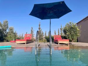 Bazén v ubytování Agafay Olivium nebo v jeho okolí + 93 fotografií