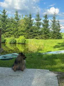 Fotografie z fotogalerie ubytování Domek Nad Stawem v destinaci Reszki
