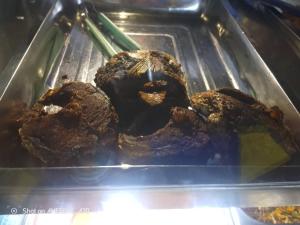 a tray of food in an oven with meat at GAT Travellers Hotel in Lagos