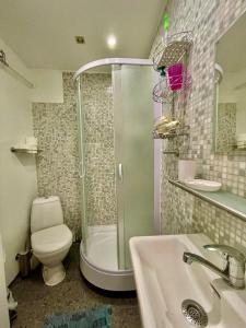 a bathroom with a shower and a toilet and a sink at ''Rozā namiņš'' in Ventspils