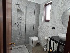 a bathroom with a shower with a toilet and a sink at Ale&Sere Housing in Jiblea Nouă +7 photos