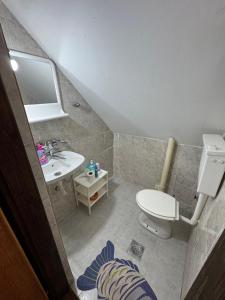 a small bathroom with a sink and a toilet at Villa Vera in Vrnjačka Banja