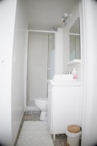 a bathroom with a toilet and a sink and a mirror at Cosy T2 proche Orly & Paris Confort et Calme in Orly
