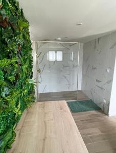 a shower in a room with a green wall at La jungle in Saint-Nicolas-dʼAliermont