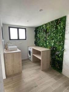 a kitchen with a green wall with a washing machine at La jungle in Saint-Nicolas-dʼAliermont
