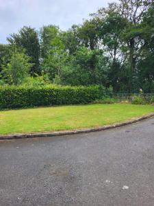 a small grassy area next to a road at Beech Lodge,Garden Apartment in Goffʼs Bridge +2 photos