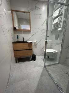 a bathroom with a shower and a sink and a mirror at Quai 44 in Cognac