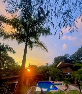 Gallery image of Hotel y Restaurante Colonial Caribe in Montezuma