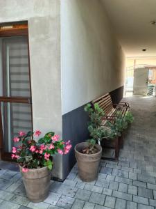a porch with two potted plants and a bench at Buko apartamenty in Uniejow