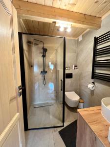 a bathroom with a glass shower and a toilet at Domek Sumigoj w Chochołowie in Chochołów +25 photos
