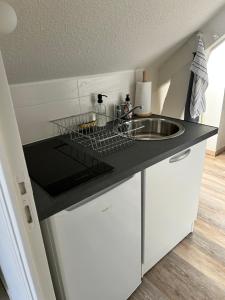 een keuken met een spoelbak en een aanrechtblad bij Le Dany in Saint-Malo