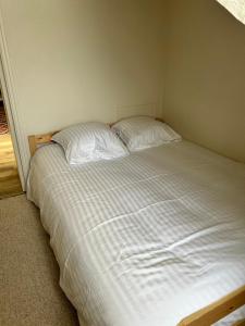 een wit bed met 2 kussens in een slaapkamer bij Le Dany in Saint-Malo +1 foto