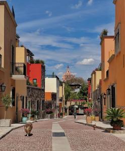 a cat walking down a street in a city at Artesana - Privately Owned Rosewood Residence in San Miguel de Allende +59 photos