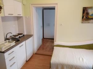 Kuchyň nebo kuchyňský kout v ubytování Apartmani Lucky + 9 fotografií