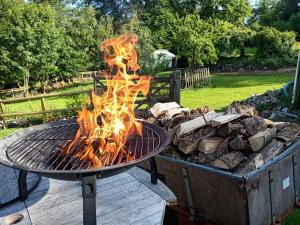 a fire pit with a pile of fire wood at Bewley Glamping in Wambrook