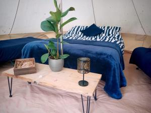 a bed with a blue blanket and a table with a plant at Bewley Glamping in Wambrook +9 photos