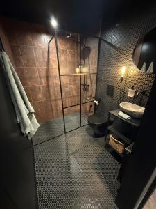 a bathroom with a shower and a toilet and a sink at GU DESIGN apartments in Saldus +12 photos