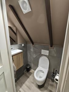 a small bathroom with a toilet and a sink at Vakantiehuisje 'De Uithof' in Oosterhesselen +11 photos