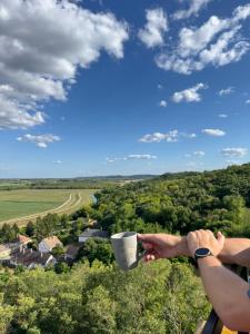 a person holding a cup of coffee on top of a hill at Söréttorony - A jakuzzis erdei szállás in Kölesd
