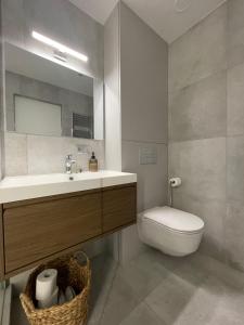 a bathroom with a sink and a toilet and a mirror at Apartment Parko in Molėtai +6 photos