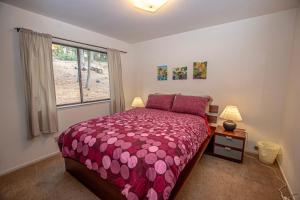 Fotografie z fotogalerie ubytování Bunker By Hauserman Rentals v destinaci Tahoe City + 20 fotografií