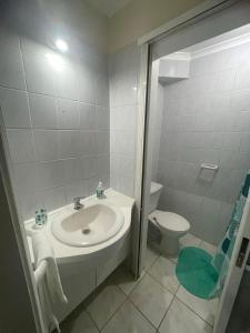 オソルノにあるDepartamento full equipado con 1 habitación matrimonialの洗面台とトイレ付きのバスルーム