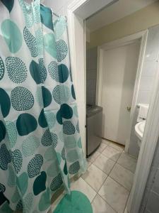 オソルノにあるDepartamento full equipado con 1 habitación matrimonialのバスルーム(シャワーカーテン、トイレ付)