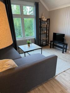 Posezení v ubytování Central apartment