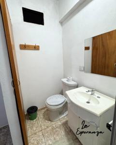 a bathroom with a sink and a toilet and a mirror at Óga Hotel in Puerto Esperanza +17 photos