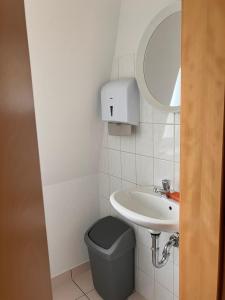 a bathroom with a sink and a toilet and a mirror at Ferienwohnung am Saaleknie in Rudolstadt +9 photos