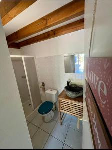 a bathroom with a toilet and a sink at Petite maison dans les Landes in Saint-Julien-en-Born