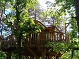 a tree house in the middle of the forest at La Cachette - Gîte & Hébergements Insolites - Spa in Rivière-sur-Tarn