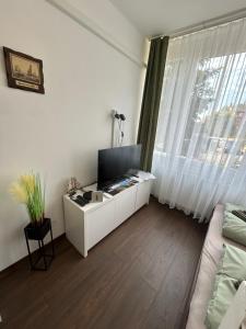 Μια τηλεόραση ή/και κέντρο ψυχαγωγίας στο Horgony apartman Balatonalmádi