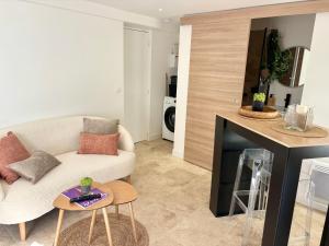 ein Wohnzimmer mit Sofa und Kamin in der Unterkunft Chaleureux T1 avec Balcon in Vals-les-Bains