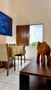 Фотография из галереи Benfica Hostel в городе Арраял-д'Ажуда