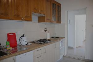 Kuchyň nebo kuchyňský kout v ubytování Apartments by the sea Drasnice, Makarska - 5265