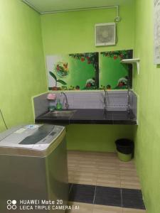 a green bathroom with a sink and a mirror at Syedeyina Roomstay in Kangar +1 photo