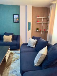 a living room with a blue couch with pillows at Toly’s Spacious One Bedroom in Nairobi +12 photos