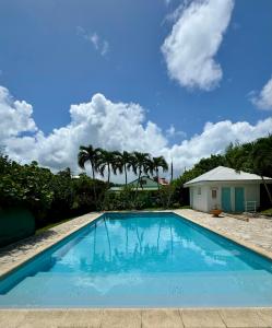 ル・ゴジエにあるVue mer et montagne, piscine, proche de la plage avec citerne d eau et parkingのヤシの木と家のある青いスイミングプール