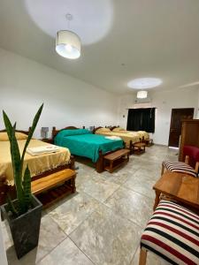 a room with four beds and a potted plant at Esquina Lodge in Esquina